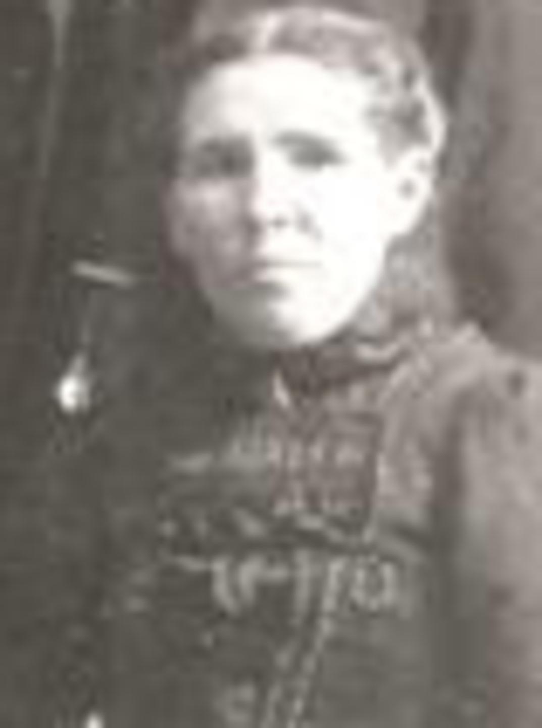 Margaret Bennet Morse (1852 - 1934) Profile